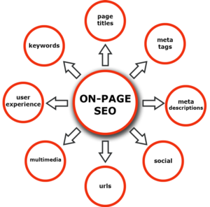 Trendy Online agency gives you the best On Page Seo Services in Delhi
