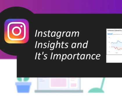 Instagram Insights And It's Importance